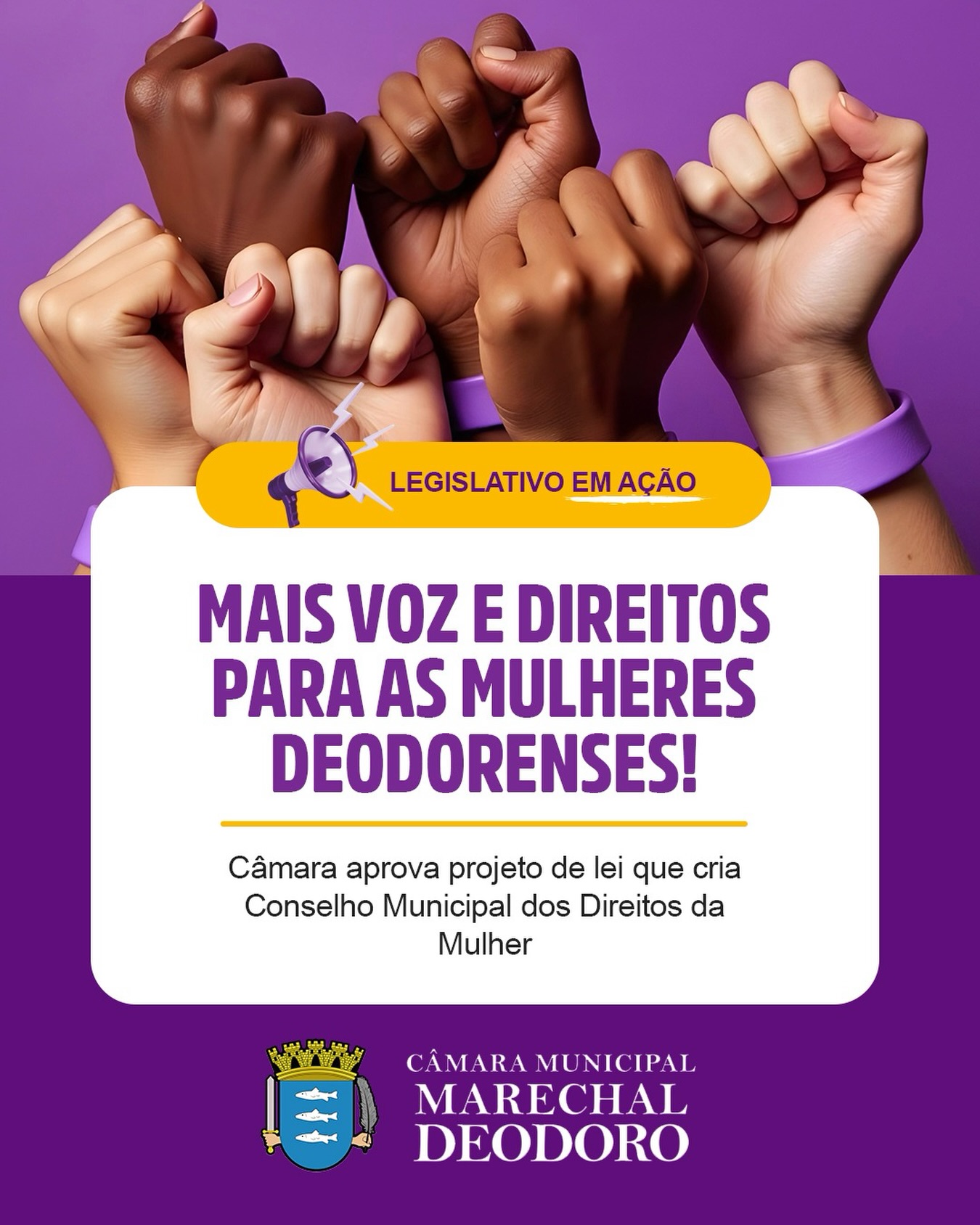 Câmara aprova criação do Conselho Municipal dos Direitos da Mulher