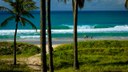 Praia do Francês é agraciada com o Título de Reserva Nacional do Surf. Praia do Francês é agraciada com o Título de Reserva Nacional do Surf.